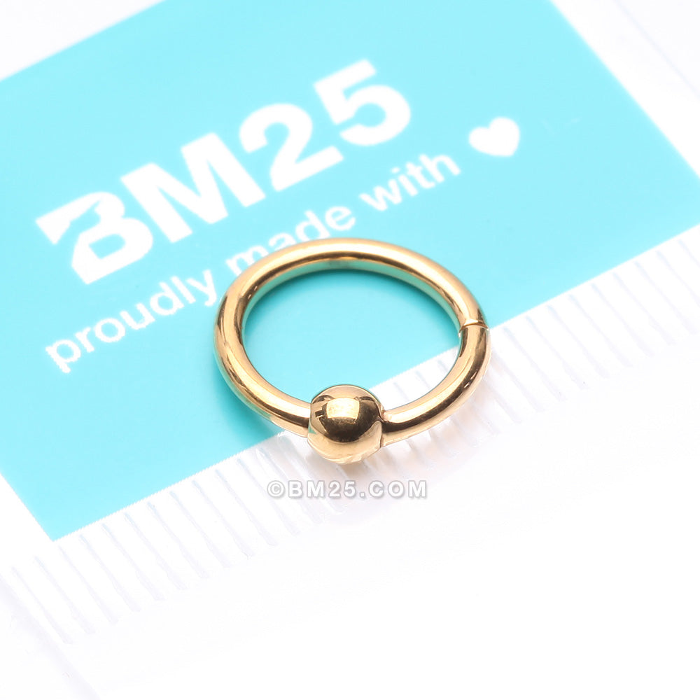 Detail View 4 of Pure24K Implant Grade Titanium Basic CBR Style Seamless Clicker Hoop Ring