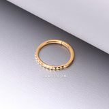 Detail View 1 of Pure24K Implant Grade Titanium Pyramid Studded Geometric Seamless Clicker Hoop Ring