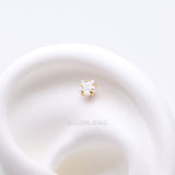 Detail View 1 of Pure24K Implant Grade Titanium OneFit Threadless Star Gem Sparkle Prong Top Part-Clear Gem