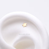 Detail View 1 of Pure24K Implant Grade Titanium OneFit Threadless Star Top Part