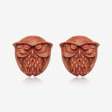 A Pair of Burrowing Owl Handcarved Earring Stud-Orange/Brown